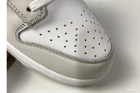 DD1503-103 Dust" Dunk Nike Low "Photon 0113